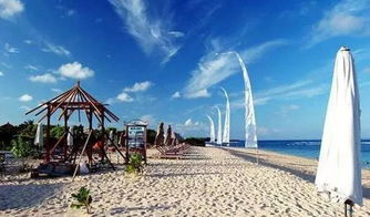 創道旅游團隊招募旅游代理 探索事業新機遇